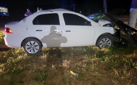 Motorista atropela cavalo e bate veículo em placa de sinalização na rodovia MG-290