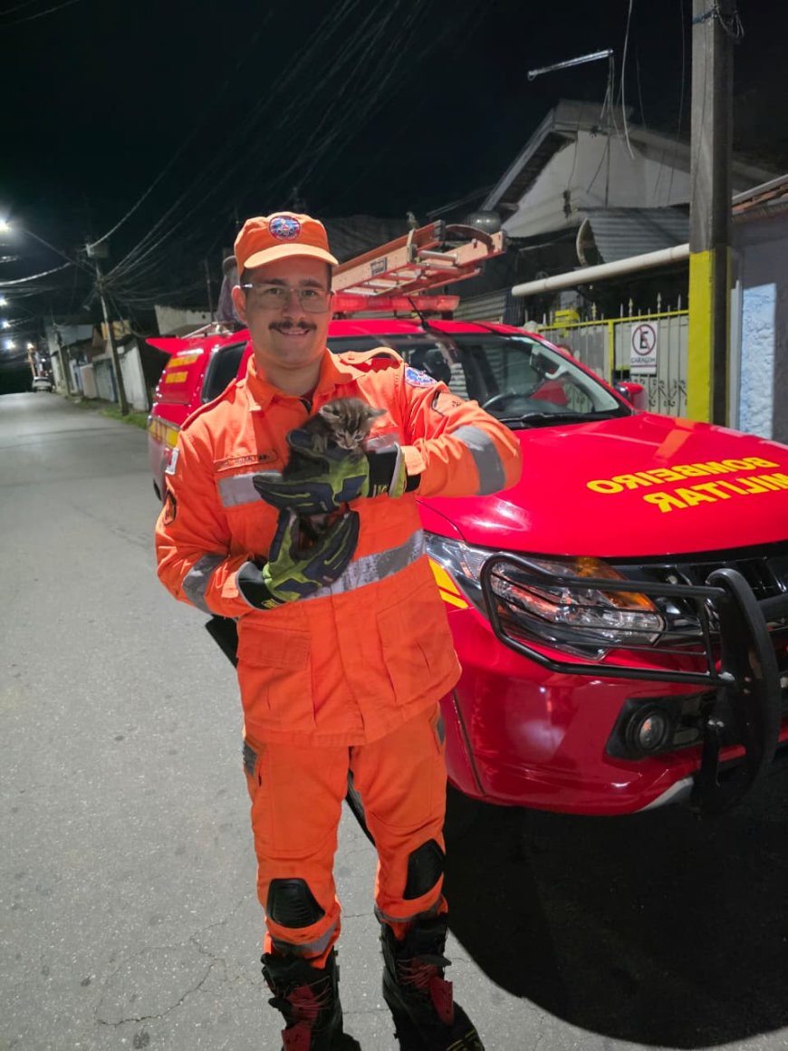 Bombeiros utilizam áudio de miado de gata em celular para resgatar filhote preso em rede pluvial no Sul de Minas