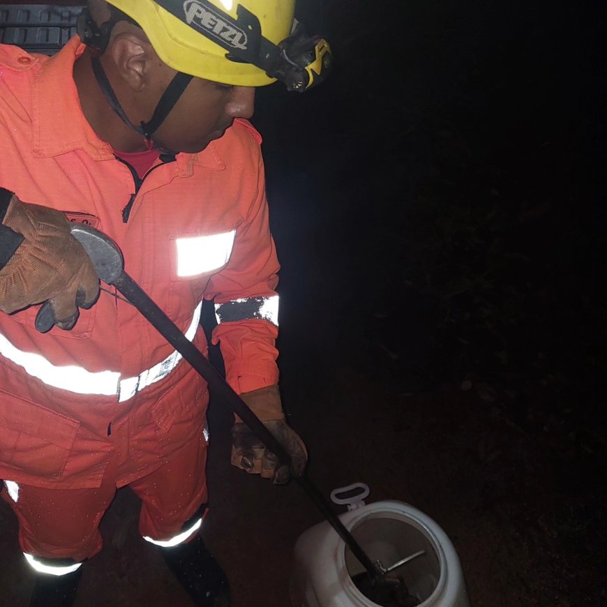 Serpente é capturada no quintal de residência em Guaranésia
