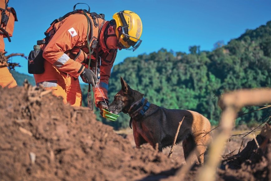 Corpo de Bombeiros Militar de Minas Gerais abre 342 vagas em concurso público com salários que podem chegar a R$ 11 mil