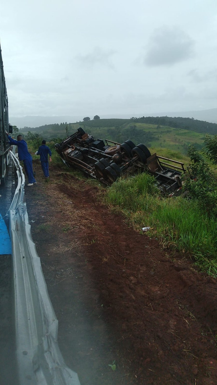 Motorista dorme ao volante e capota caminhão carregado com caixas de frango na MGC-491