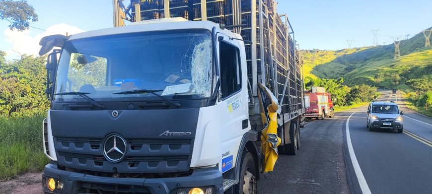 Porta de caminhão é arrancada após violenta colisão frontal na BR-491