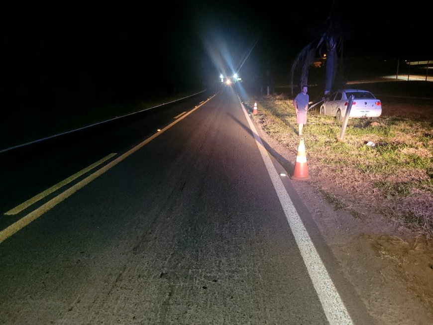 Motorista atropela cavalo e bate veículo em placa de sinalização na rodovia MG-290