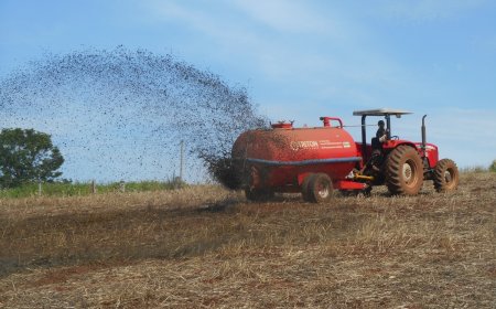 Produtor pode reduzir custos com agricultura regenerativa e técnicas agroecológicas