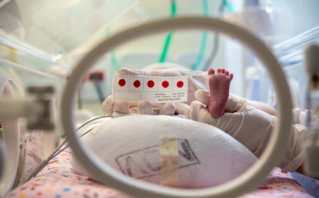 Minas Gerais é o primeiro estado do país a rastrear gratuitamente 64 doenças no Teste do Pezinho