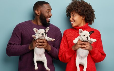 Governo do Brasil sanciona lei que define normas para “guarda compartilhada” de pets