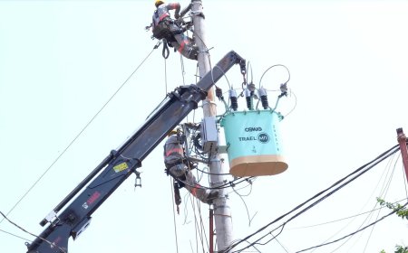 Cemig avança na substituição de transformadores convencionais por equipamentos sustentáveis