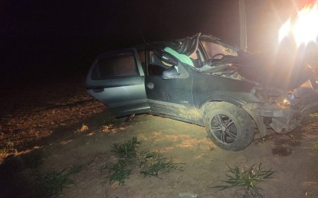 Três pessoas ficam feridas em acidente com animal na MGC-446