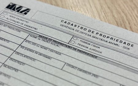 Cadastro no IMA é o primeiro passo para regularizar a atividade pecuária em Minas