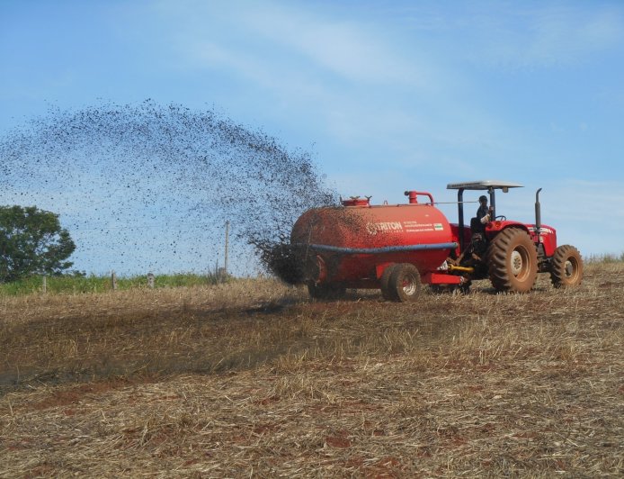 Produtor pode reduzir custos com agricultura regenerativa e técnicas agroecológicas