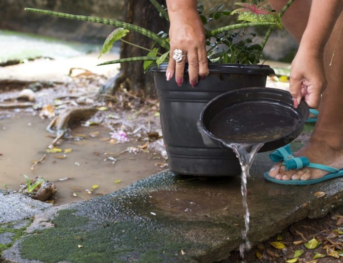 Minas divulga primeiro levantamento de infestação do Aedes aegypti em 2026 e reforça prevenção