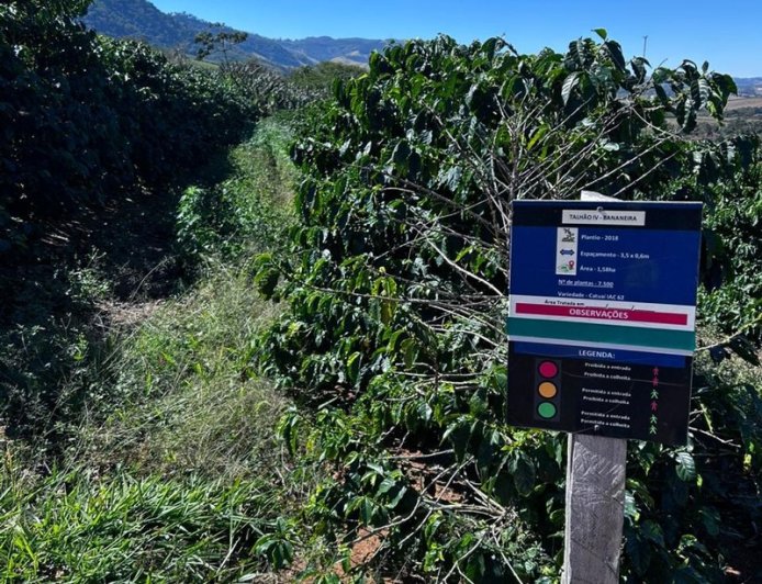 Cooxupé lidera iniciativa inédita no Brasil e viabiliza venda de créditos de carbono no café