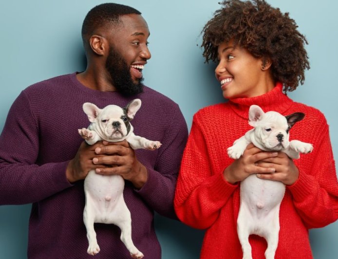 Governo do Brasil sanciona lei que define normas para “guarda compartilhada” de pets