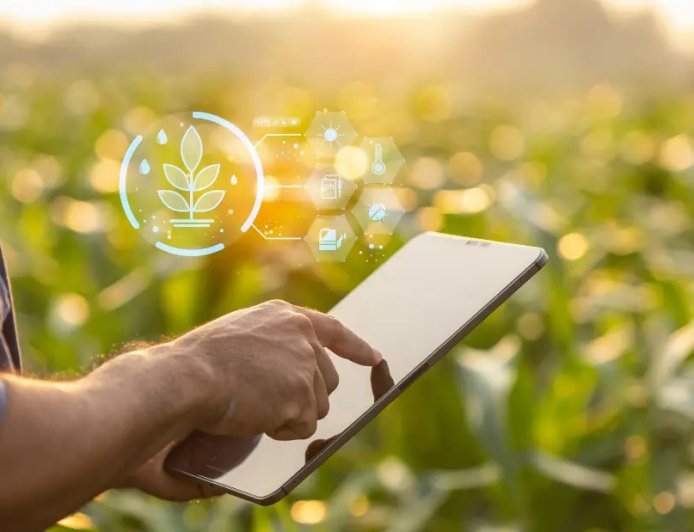 Agrobom aponta o que o produtor precisa calcular antes de decidir segurar a soja