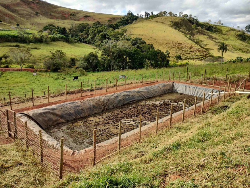 Produtor pode reduzir custos com agricultura regenerativa e técnicas agroecológicas