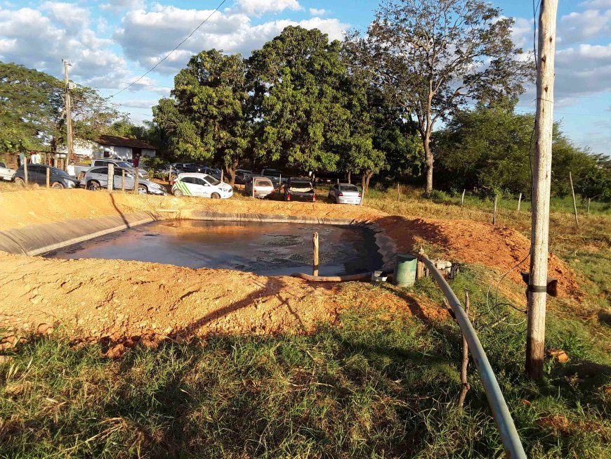 Produtor pode reduzir custos com agricultura regenerativa e técnicas agroecológicas