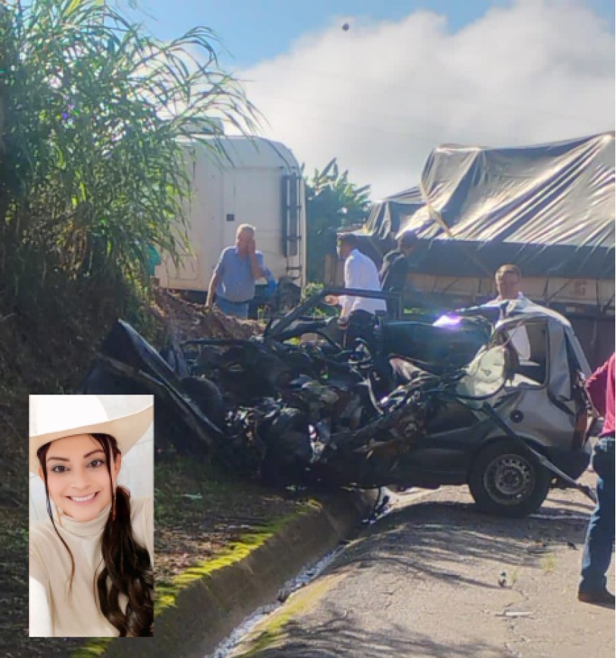 Proprietária de Pet shop de Muzambinho morre em grave acidente na BR-146