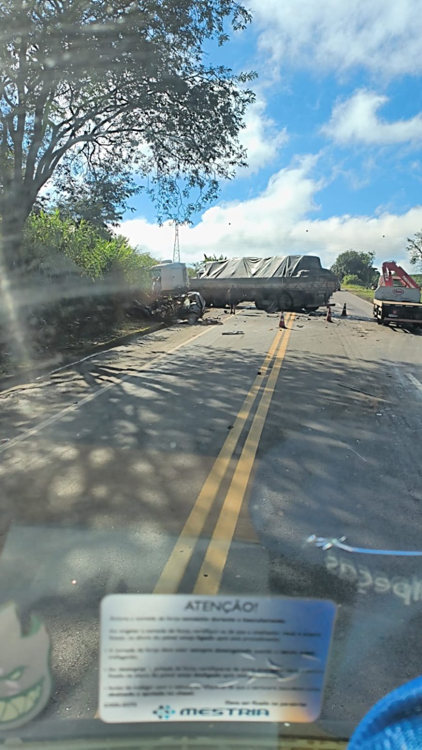 Proprietária de Pet shop de Muzambinho morre em grave acidente na BR-146