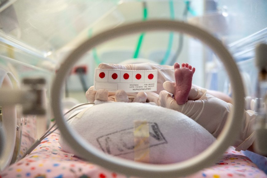 Minas Gerais é o primeiro estado do país a rastrear gratuitamente 64 doenças no Teste do Pezinho