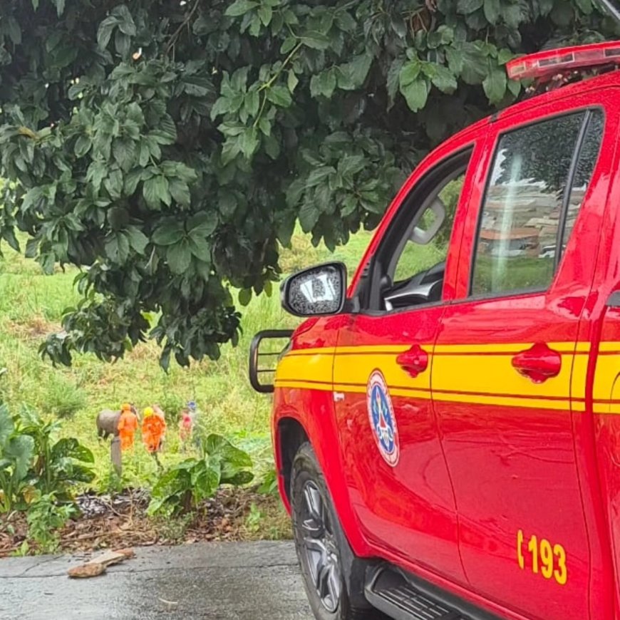 Cavalo atolado em lamaçal é resgatado pelos Bombeiros em Guaxupé