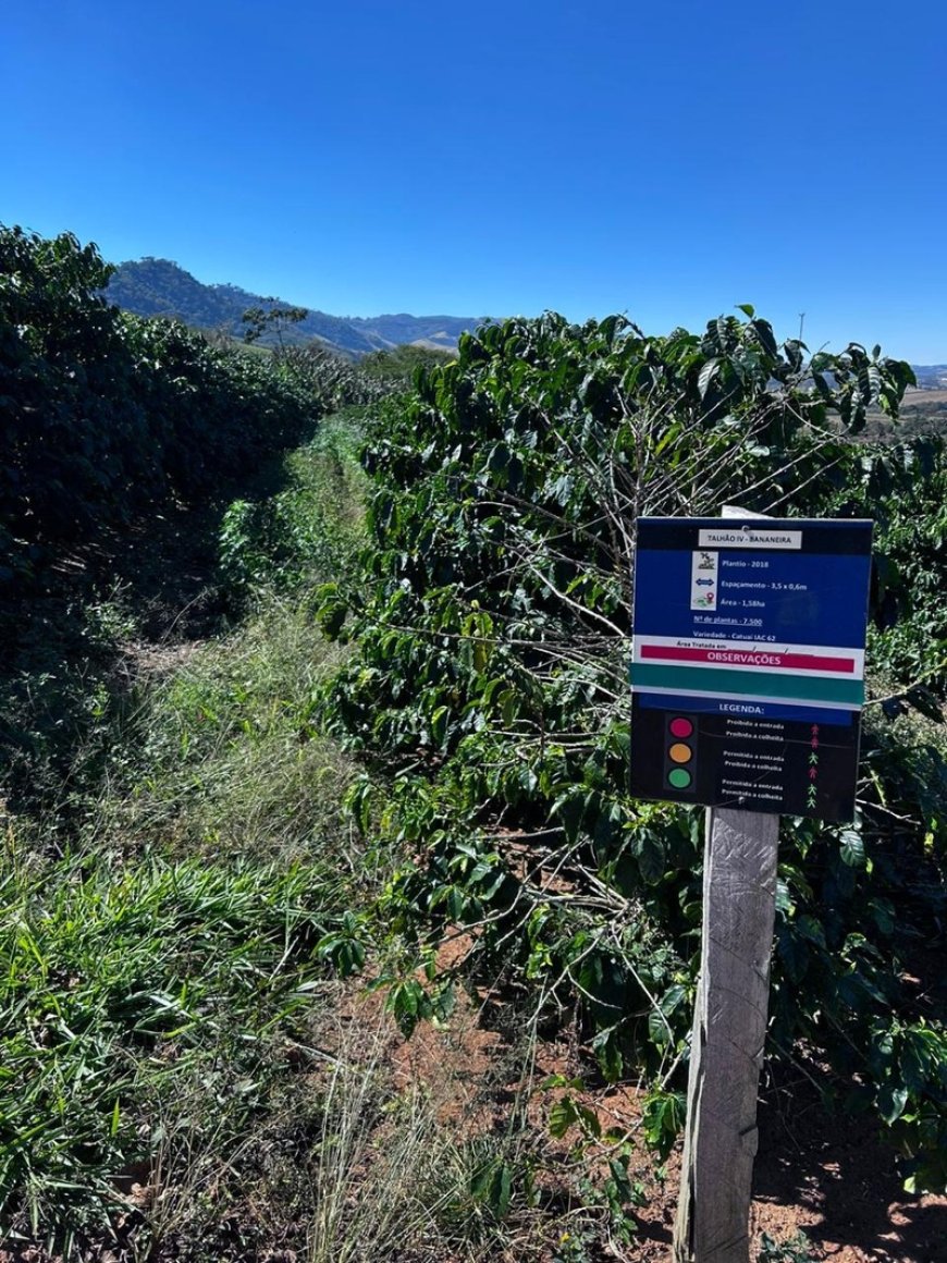 Cooxupé lidera iniciativa inédita no Brasil e viabiliza venda de créditos de carbono no café