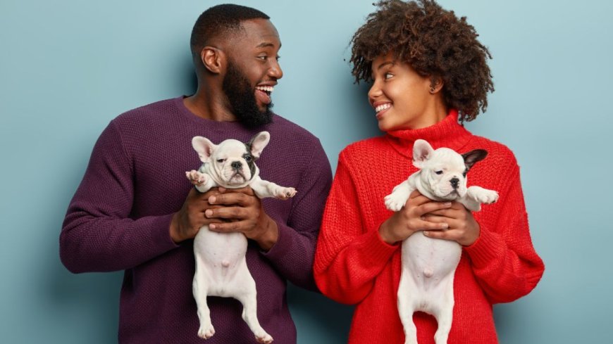 Governo do Brasil sanciona lei que define normas para “guarda compartilhada” de pets