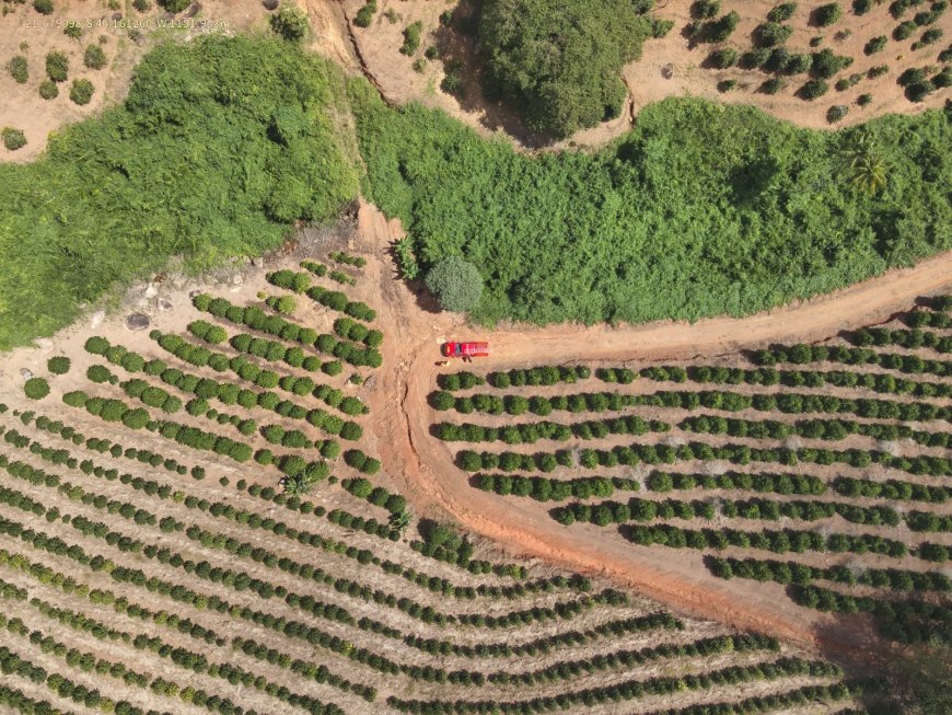 Corpo de farmacêutica desaparecida é encontrado em córrego na zona rural de Campestre