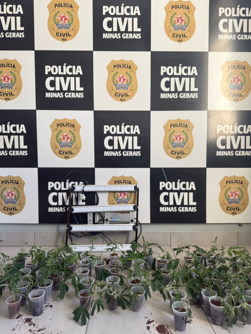 Operação "Codex" reprime o tráfico de drogas na região