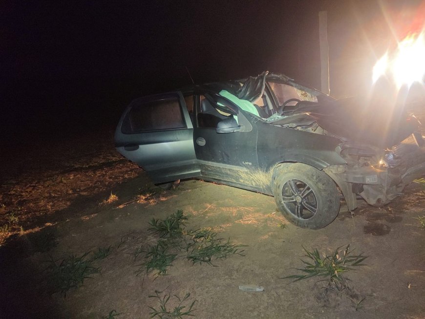 Três pessoas ficam feridas em acidente com animal na MGC-446