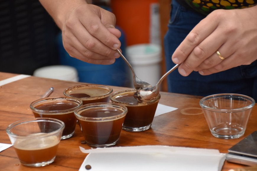 Quarta edição do Andradas Café Festival reúne produtores baristas, provadores, mestres de torra e amantes da bebida em um dos principais eventos