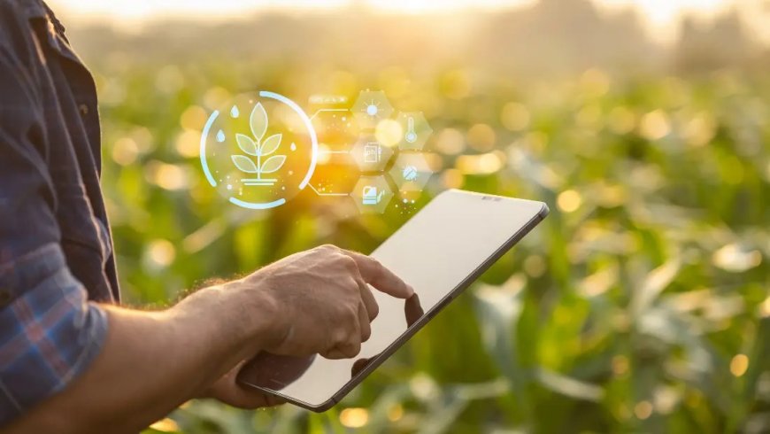 Agrobom aponta o que o produtor precisa calcular antes de decidir segurar a soja