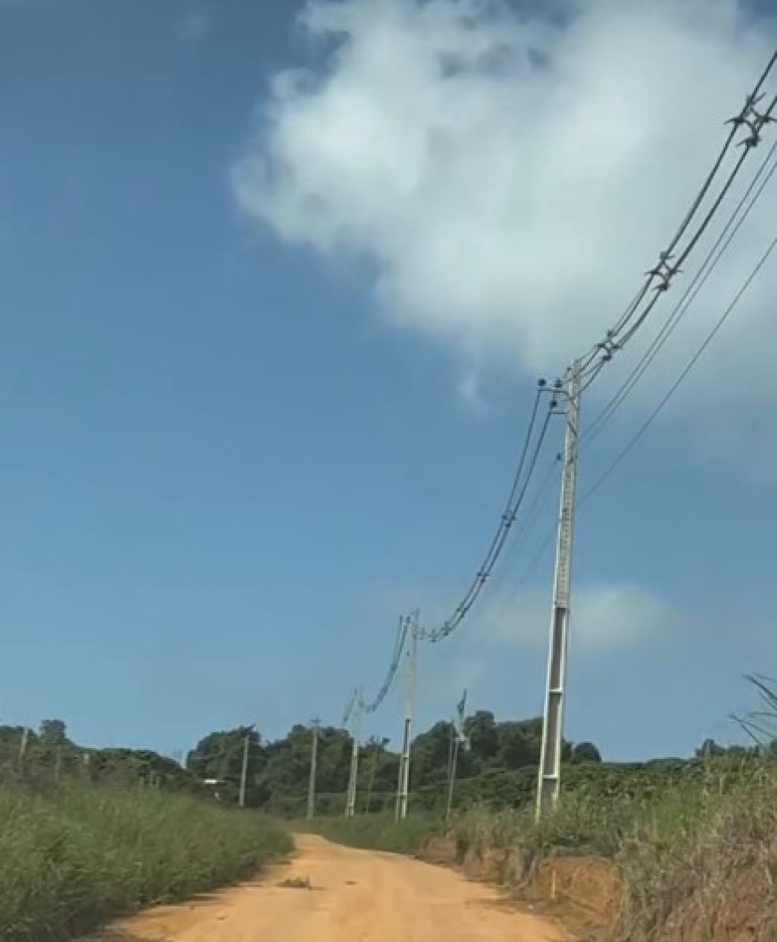 Cemig reforça rede elétrica em São Pedro da União e fortalece o agronegócio no Sul de Minas