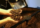 Conab prevê produção de café em 66,7 milhões de sacas na safra 2026, alta de 18%