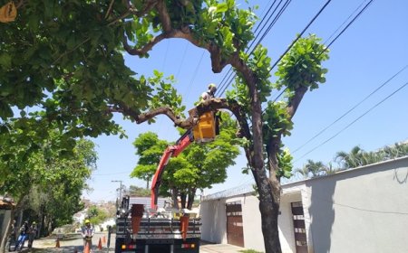 Cemig reforça manutenção preventiva da rede com R$ 438 milhões para reduzir interrupções em Minas