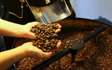 Conab prevê produção de café em 66,7 milhões de sacas na safra 2026, alta de 18%