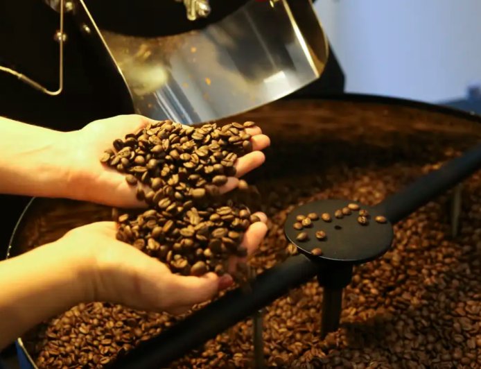 Conab prevê produção de café em 66,7 milhões de sacas na safra 2026, alta de 18%