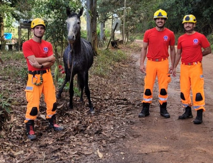 Bombeiros resgatam cavalo caído em fossa nas proximidades da BR-146