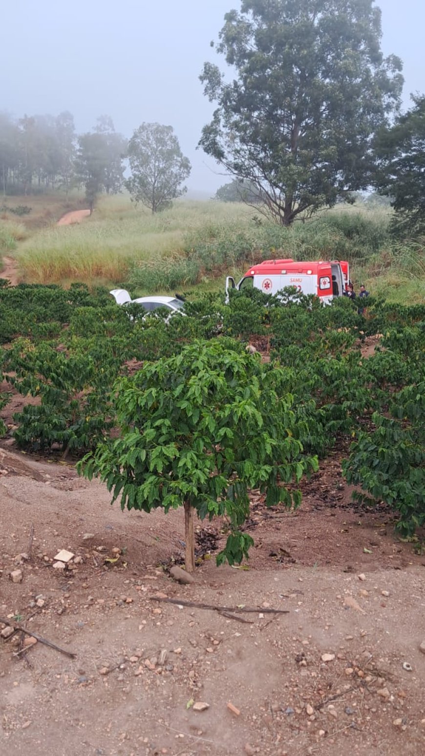 Dois acidentes de trânsito são registrados na MG-449 devido à forte neblina