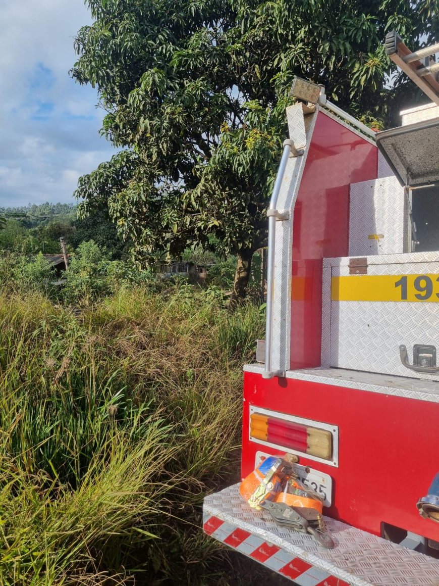 Bombeiros resgatam cavalo caído em fossa nas proximidades da BR-146