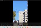 Vídeo: Macaco faminto invade escola e rouba saco de pães de queijo em Poços de Caldas