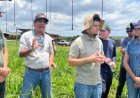 BDMG abre inscrições para capacitação gratuita em agricultura regenerativa com foco em cultivo de grãos