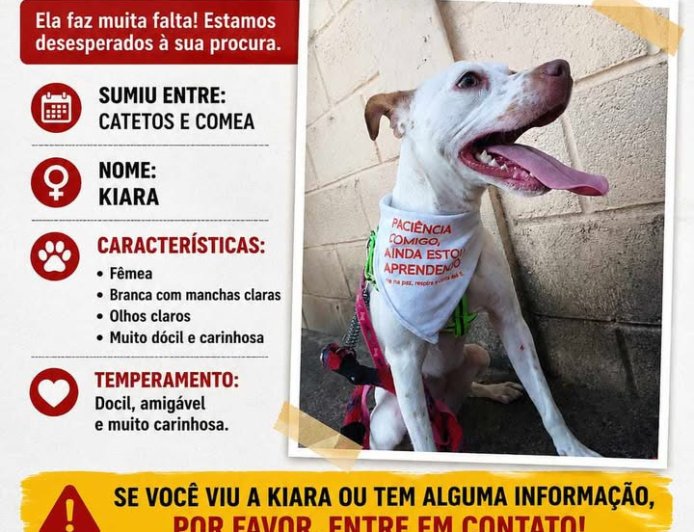 Procura-se Kiara