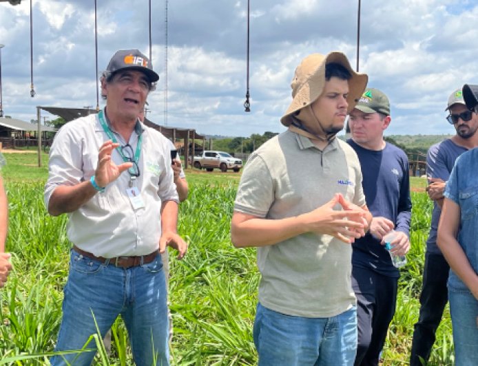 BDMG abre inscrições para capacitação gratuita em agricultura regenerativa com foco em cultivo de grãos