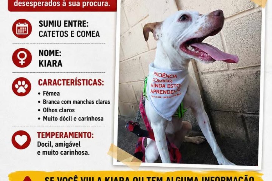 Procura-se Kiara