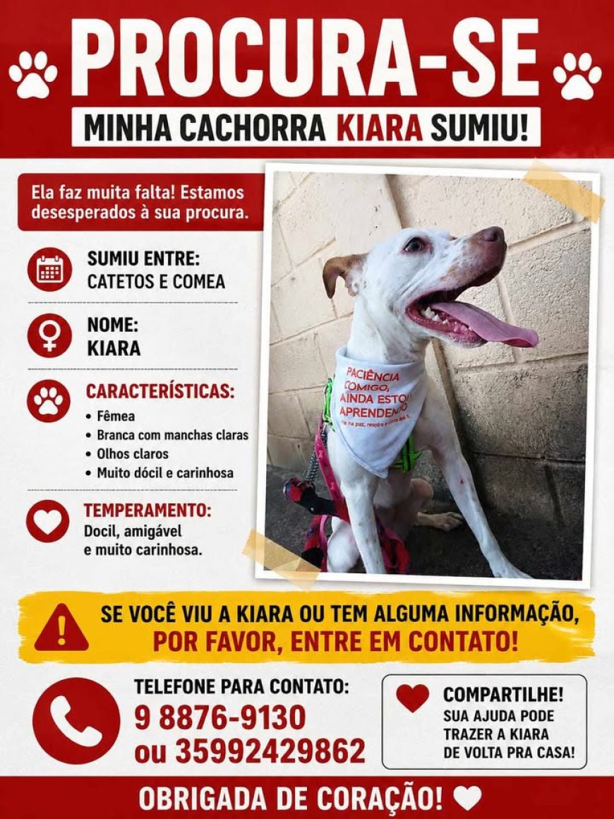 Procura-se Kiara