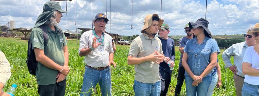 BDMG abre inscrições para capacitação gratuita em agricultura regenerativa com foco em cultivo de grãos