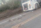 Acidente entre micro-ônibus e caminhão deixa dois feridos na MGC-491