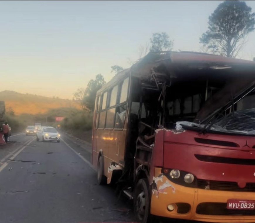 Acidente entre micro-ônibus e caminhão deixa dois feridos na MGC-491