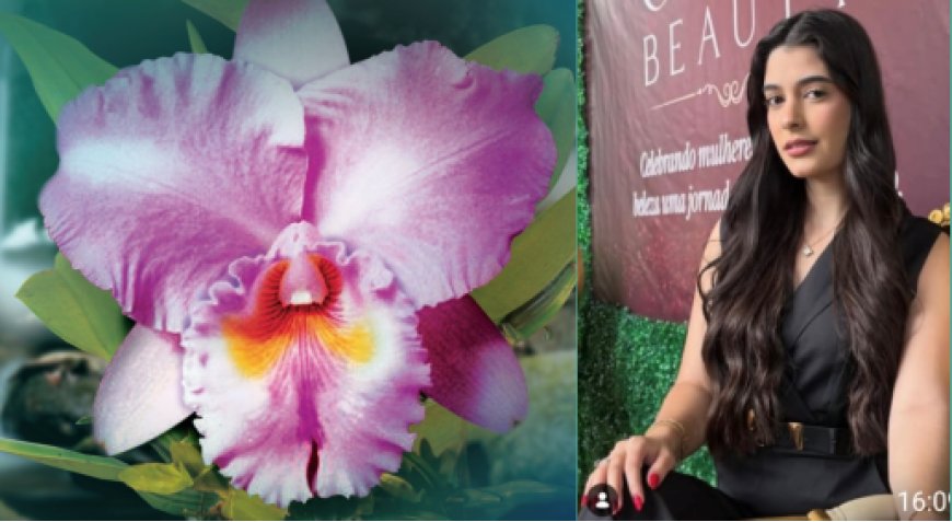Guaxupé se prepara para celebrar a 74ª Exposição Nacional de Orquídeas