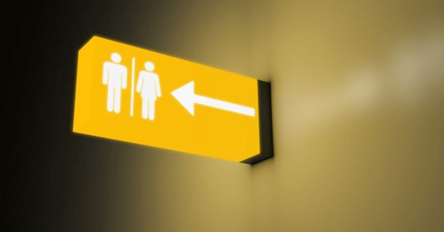 Em Guaxupé, Justiça do Trabalho condena empresa a indenizar mulher trans por restrição do uso de banheiro feminino e práticas discriminatórias